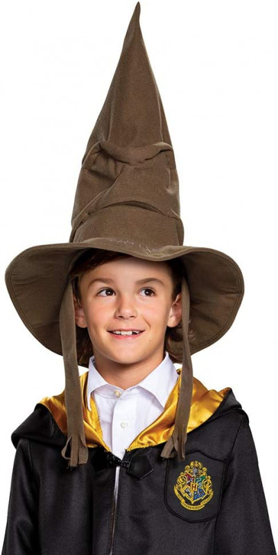 DISGUISE HARRY POTTER SORTING HAT